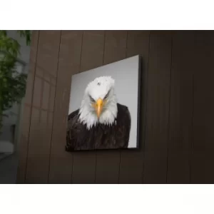 Image of 4040?ACT-41 Multicolor Decorative LED Lighted Canvas Painting