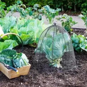 Image of Outdoor Wired Plant Protector Zinc