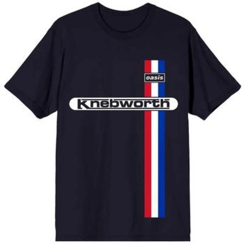 Image of Oasis Oasis Men Knebworth Vertical Stripe T-Shirt in Navy Size: Medium Navy M Male 5063574186933