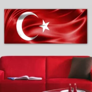 Image of YTY103599822825_50120 Multicolor Decorative Canvas Painting