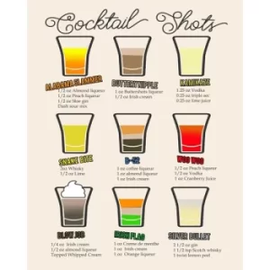 Image of Vintage Metal Sign Classic Cocktail Shot Recipes