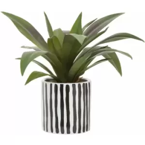 Image of Fiori Agave in Ceramic Pot - Premier Housewares