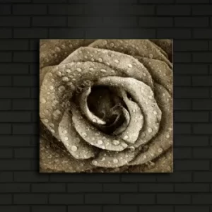 Image of 4040?ACT-25 Multicolor Decorative LED Lighted Canvas Painting