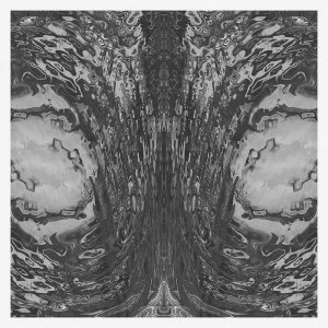 Image of Necro Deathmort - The Capsule Vinyl