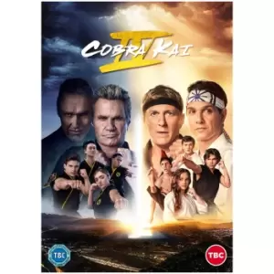 Image of Cobra Kai Season 4 - DVD