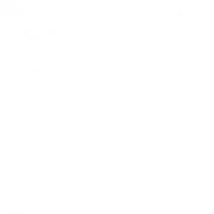 Image of Olympus ME30W Professional Microphone