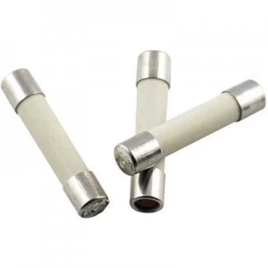 Image of ESKA 52817 Micro fuse x L 5mm x 25mm 1 A 250 V Medium time lag mT Content 10 pcs