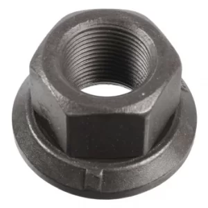 Image of Wheel Nut 04029 by Febi Bilstein