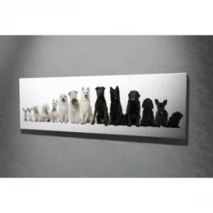 Image of PC152 Multicolor Decorative Canvas Painting