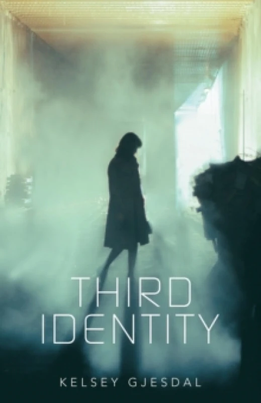 Image of Third Identity Paperback / softback