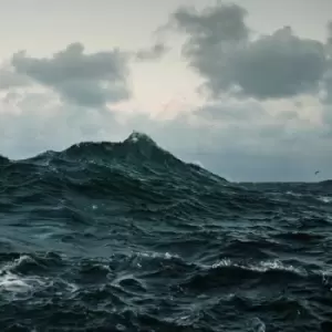 Image of Volcano Choir - Repave CD Album - Used