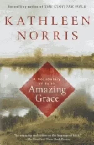 Image of amazing grace a vocabulary of faith