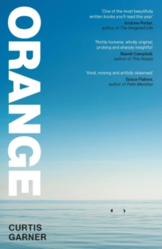 Image of Orange Paperback / softback