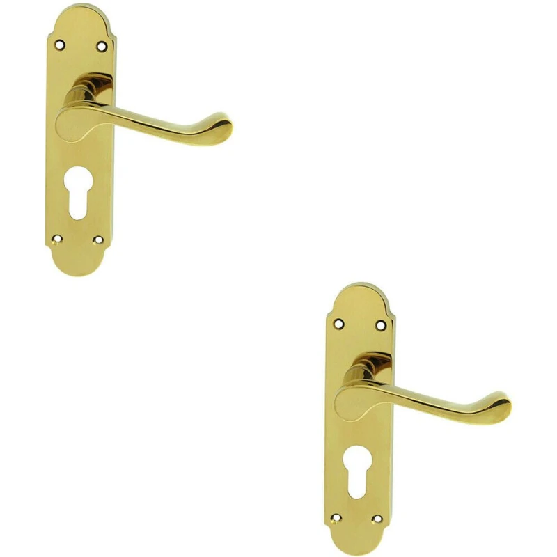 Image of Loops 2x PAIR Victorian Upturned Lever on Euro Lock Backplate 170 x 42 Polished Brass Metallics