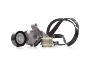 Image of INA V-ribbed belt set 529 0469 20 Serpentine belt kit,Auxiliary belt kit VW,AUDI,FORD,Golf V Schragheck (1K1),TOURAN (1T1, 1T2),Passat Variant (3C5)