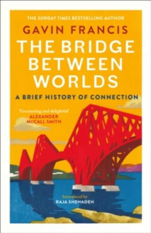 Image of The Bridge Between Worlds : A Brief History of Connection Paperback / softback
