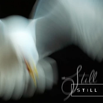 Image of Aria Rostami & Daniel Blomquist - Still CD