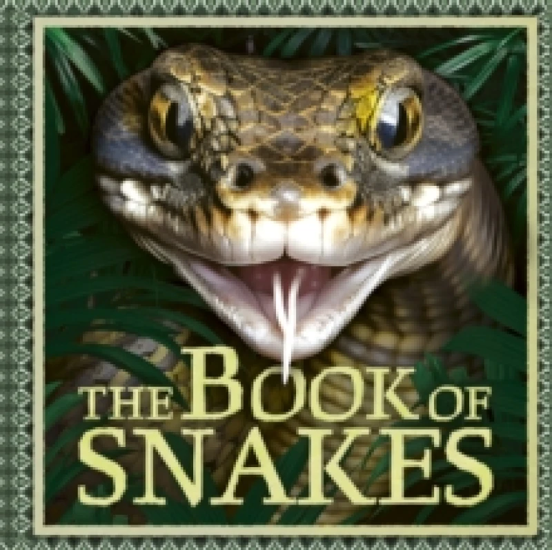 Image of The Book of Snakes Paperback / softback