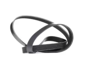 Image of RIDEX V-ribbed belt VW,AUDI,BMW 305P0083 46444537,46787906,55186364 Serpentine belt,Auxiliary belt,Poly V-belt,Ribbed belt,Multi V-belt,Poly belt