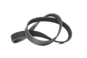 Image of CONTITECH V-ribbed belt VW,AUDI,FORD 6PK923 028903137AM,057903137AA,057903137AA 6453VA,6453W0,46412707,71749441,7730054,1039800,VX028903137AMVX,6453VA