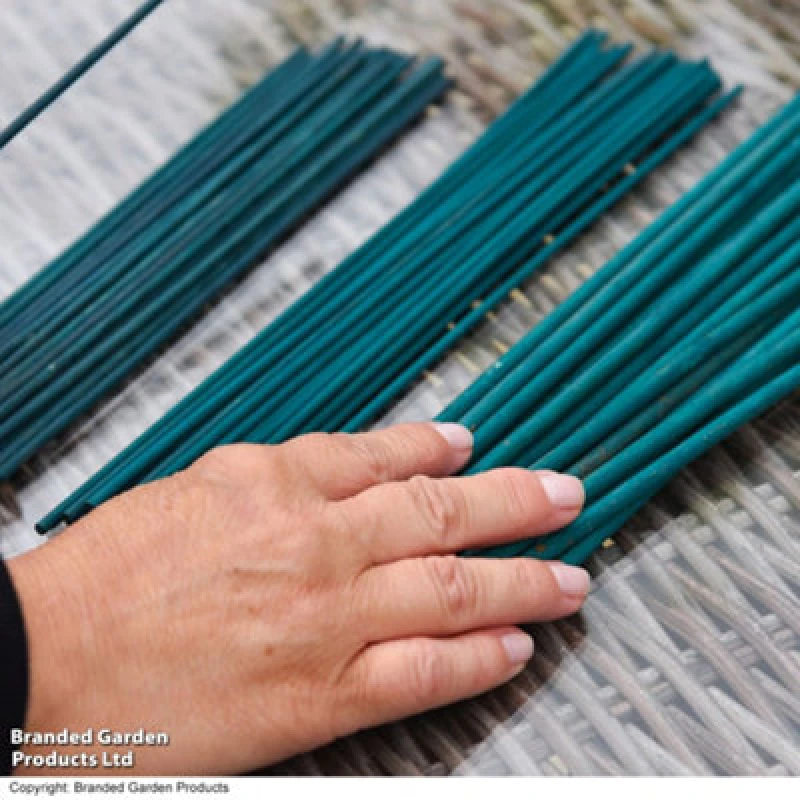 Image of Thompson & Morgan Hard Good Plant Cane 8" 20Cm 1 Bundle Of 50 Canes X 1
