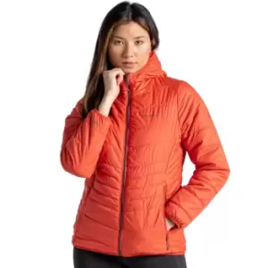 Image of Craghoppers Womens Compresslite Hooded Insulated Jacket 8 - Bust 32' (81cm)