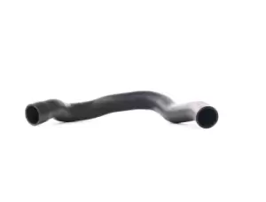 Image of RIDEX Turbocharger Hose ALFA ROMEO 3314C0199 46814859,50508080,60689788 Charger Intake Hose