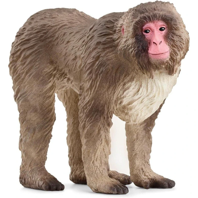 Image of Schleich Japanese Macaque Multi unisex