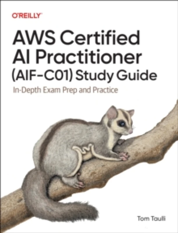 Image of AWS Certified AI Practitioner (AIF-C01) Study Guide : In-Depth Exam Prep and Practice Paperback / softback