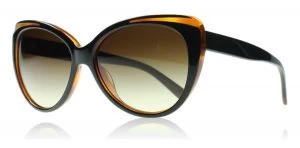 Image of DKNY DY4125 Sunglasses Black / Brown 363913 57mm