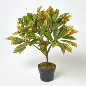 Image of Homescapes - Green 'Rushfoil' Artificial Croton Plant with Pot, 65cm - Green