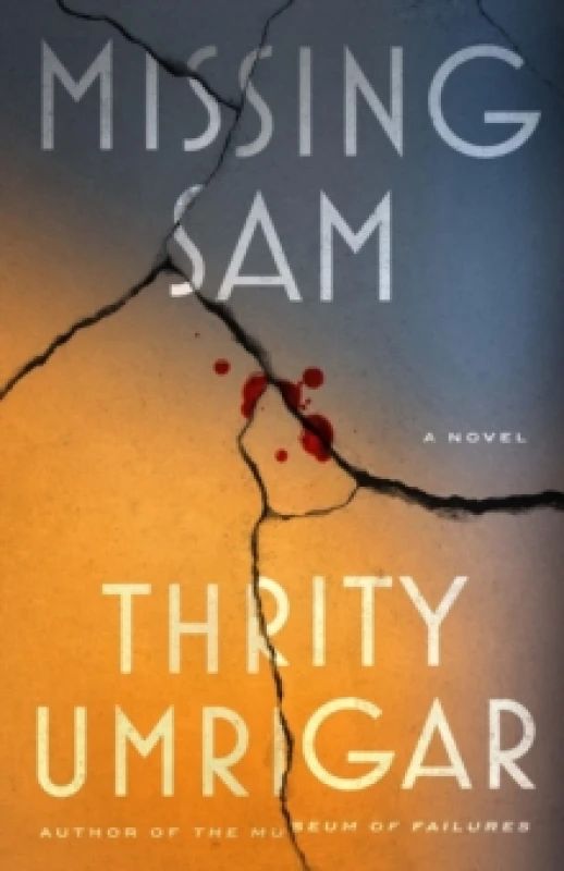 Image of Missing Sam : A Novel Hardback