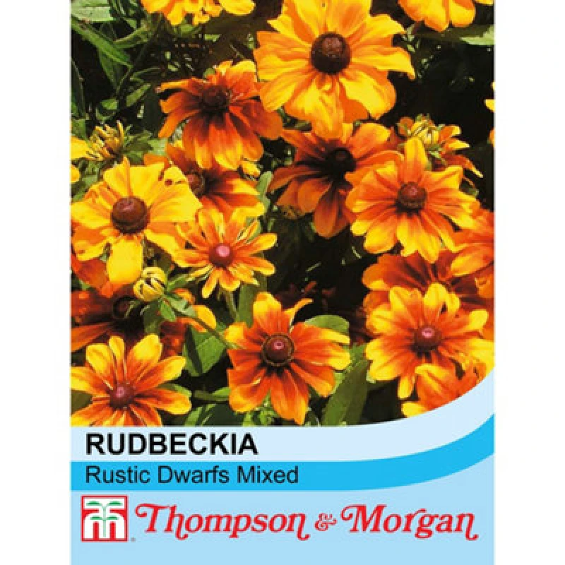 Image of Thompson & Morgan Rudbeckia Hirta Rustic Dwarfs Mixed 1 Seed Packet (350 Seeds)