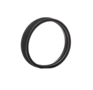 Image of PIERBURG Gaskets VW,AUDI,FORD 3.32038.03.0 1J0919133,7598703,7598703 Seal, fuel sender unit 1J0919133,1J0919133,1J0919133