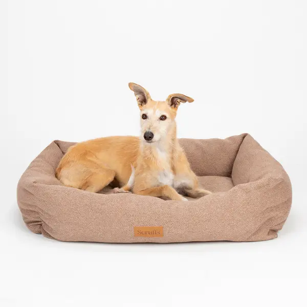 Image of Scruffs Seattle Box Bed brown