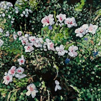 Image of Jess Locke - Don't Ask Yourself Why CD