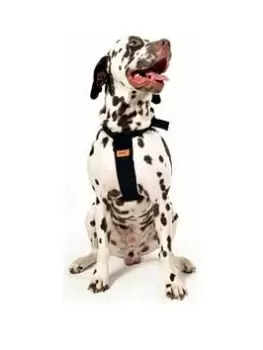 Image of Rac Dog Car Harness Medium