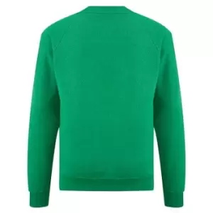 Image of Fruit Of The Loom Childrens Unisex Raglan Sleeve Sweatshirt (7-8) (Heather Green)