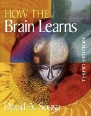 Image of how the brain learns