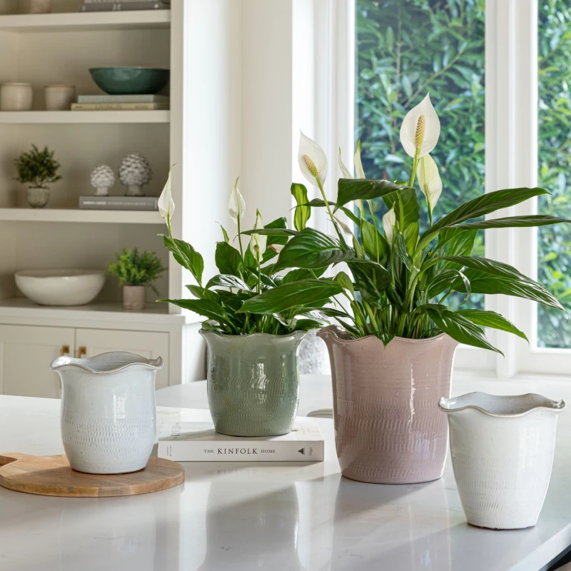 Image of Ivyline Camellia White Scalloped Edge Planter H25cm D26cm Hand Finished Made in Europe White Unisex