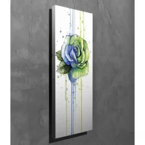 Image of PC254 Multicolor Decorative Canvas Painting