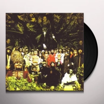 Image of Devendra Banhart - Cripple Crow Vinyl