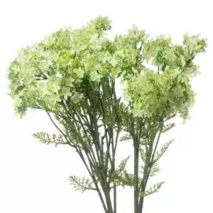 Image of Green Plumb Blossom Spray