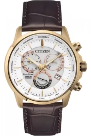 Image of Citizen Calibre 8700 Perpetual Calendar Watch BL8153-11A
