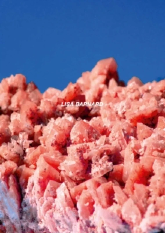 Image of After Nature Ulrike Crespo Photography Prize 2025 - Lisa Barnard Paperback / softback