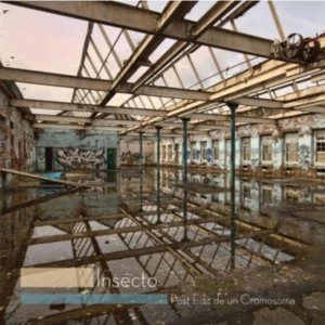 Image of Insecto - Post Edit De Un Cromosoma Vinyl