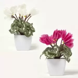 Image of Homescapes Set of 2 Cyclamen Artificial Plant in White Pot, 24cm - Natural, Pink