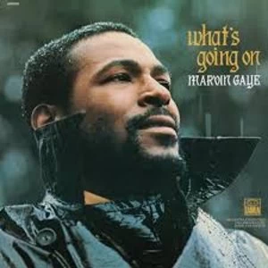 Image of Marvin Gaye - What's Going On Vinyl