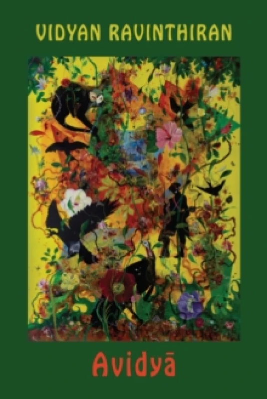 Image of Avidya Paperback / softback