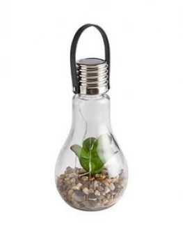 Image of Solar Succulent Jar